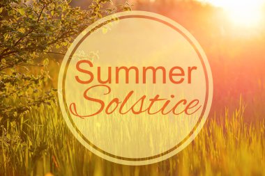 Güzel parklı bir poster ve YAZ SOLSTİS mesajı.