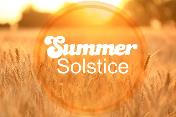 Plakat Pięknym Polem Pszenicy Tekst Summer Solstice — Zdjęcie stockowe