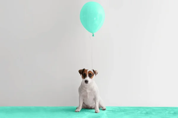 Cute Dog Mint Balloon Light Background — Stock Photo, Image