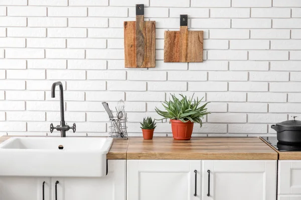 Kitchen Counters Sink Houseplants Utensils White Brick Wall — Stock Photo, Image