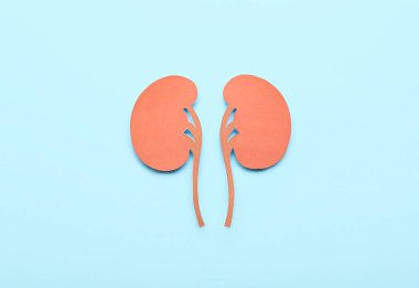 Mavi arka planda hapları olan kağıt böbrekler.