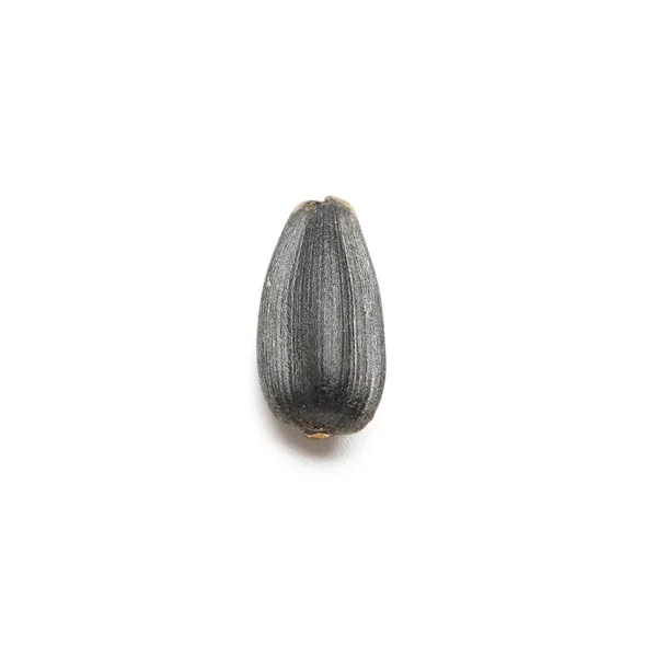 Unpeeled Sunflower Seed White Background — Stock Photo, Image