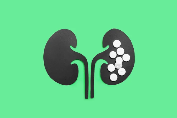 Paper Kidneys Pills Green Background — Stock Photo, Image