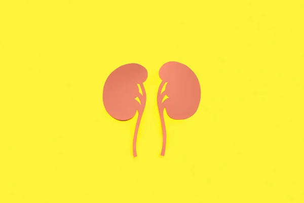 Paper Kidneys Yellow Background — Stock Photo, Image