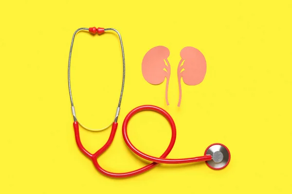 Paper Kidneys Stethoscope Yellow Background — Stock Photo, Image