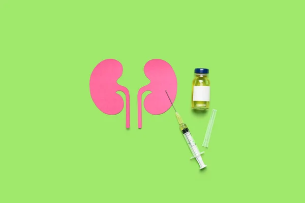 Paper Kidneys Ampule Syringe Green Background — Stock Photo, Image