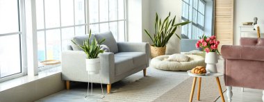 Oturma odasındaki kanepe ve kahve masası.