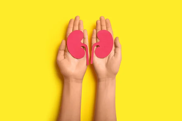 Woman Paper Kidneys Yellow Background — Stock Photo, Image