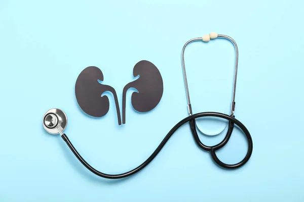 Paper Kidneys Stethoscope Blue Background — Stock Photo, Image