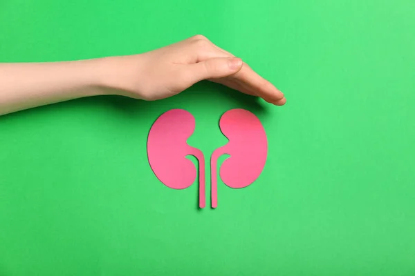 Woman Paper Kidneys Green Background — Stock Photo, Image