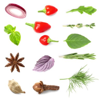 Beyaz arka planda taze aromatik bitkiler, sebzeler ve baharatlar.