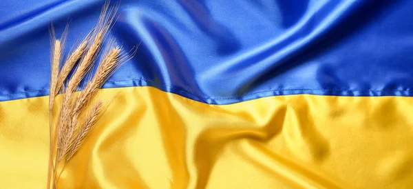 Tarwe Spikeletten Oekraïense Vlag Concept Van Wereldwijde Hongercrisis Als Gevolg — Stockfoto