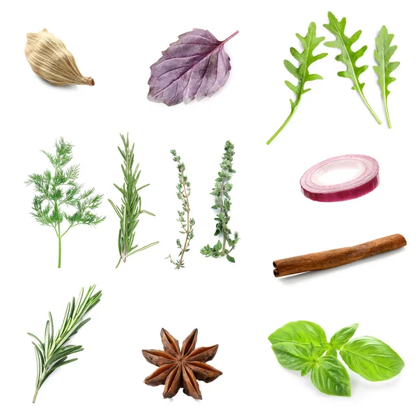 Set Fresh Aromatic Herbs Spices White Background — Stock Photo, Image