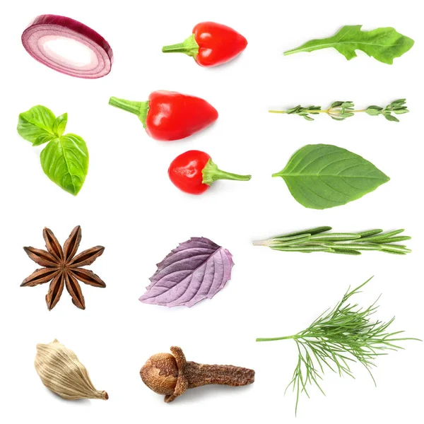 Set Van Verse Aromatische Kruiden Groenten Specerijen Witte Achtergrond — Stockfoto