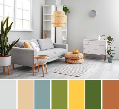 Rahat kanepesi, raf ünitesi ve çekmeceleri olan modern oturma odası. Farklı renk desenleri