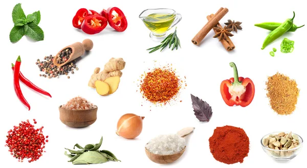 Set Aromatischer Gewürze Mit Frischem Gemüse Kräutern Und Auf Weißem — Stockfoto