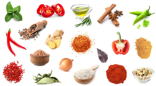 Set of aromatic spices with fresh vegetables, herbs and oil on white background