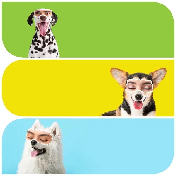 Κολάζ Των Αστείων Σκύλων Ανθρώπινα Μάτια Στο Φόντο Χρώμα Χώρο — Φωτογραφία Αρχείου