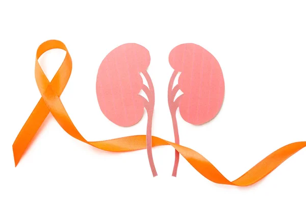 Orange Awareness Ribbon Paper Kidneys White Background — Stock Photo, Image