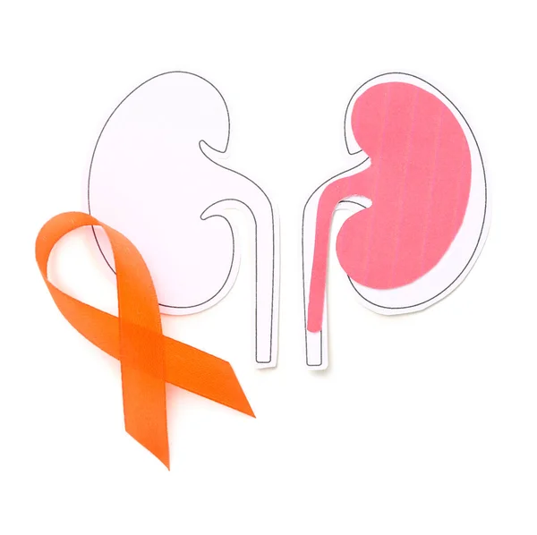 Orange Awareness Ribbon Paper Kidneys White Background — Stock Photo, Image