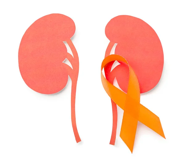 Orange Awareness Ribbon Paper Kidneys White Background — Stock Photo, Image