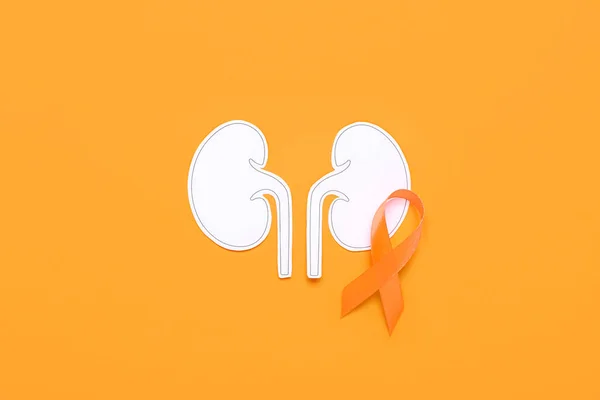 Awareness Ribbon Paper Kidneys Orange Background — Stock Photo, Image