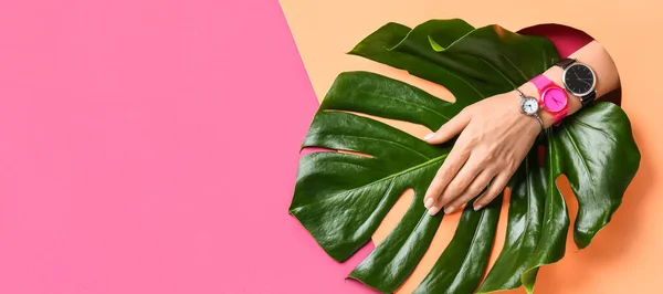 Mano Femenina Con Elegantes Relojes Hoja Monstera Verde Sobre Fondo —  Fotos de Stock