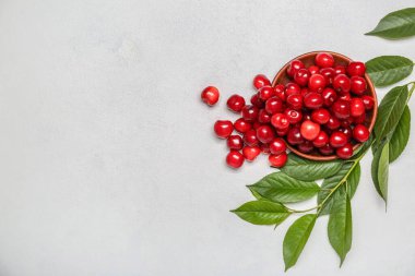 Hafif arka planda yeşil yapraklar ve bir kase tatlı kirazlı kompozisyon