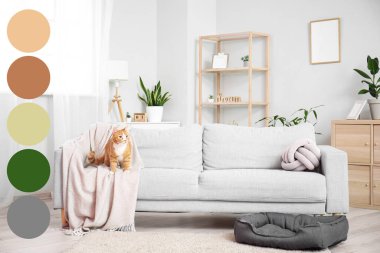 Oturma odasındaki kanepede oturan sevimli kırmızı kedi. Farklı renk desenleri