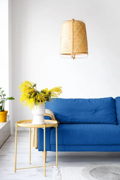Vase with mimosa flowers on table and blue sofa in light living room