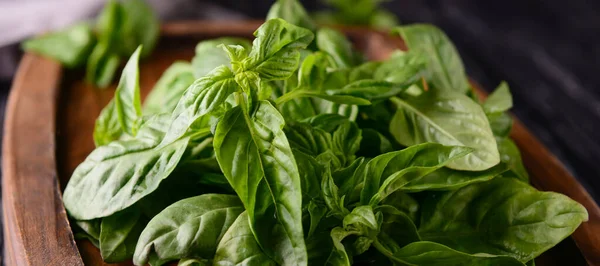 Albahaca Verde Fresca Sobre Tabla Madera Primer Plano —  Fotos de Stock