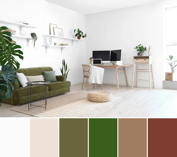 スタイリッシュな客室にはモダンな職場とソファ 異なる色パターン — ストック写真