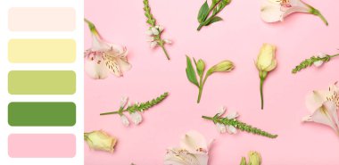 Pembe arka planda bir sürü güzel çiçek. Farklı renk desenleri