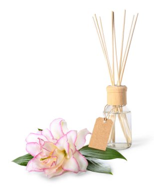 Reed dağıtıcı ve zambak beyaz arkaplanda