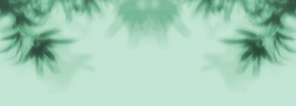 Schatten Tropischer Zweige Auf Minzfarbenem Hintergrund Banner Für Design — Stockfoto