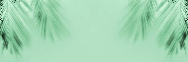 Shadow of tropical leaves on mint background. Banner for design