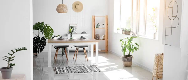 Interior Ruang Makan Modern Bergaya Dengan Tanaman Rumah Tangga — Stok Foto
