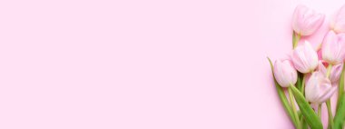 Pembe arkaplanda güzel lale çiçekleri ve metin için boşluk