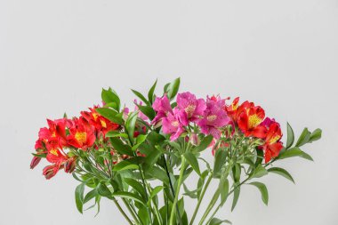 Işık arkaplanda güzel alstromerya çiçekleri, yakın plan.