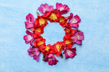 Renkli arkaplanda güzel alstromerya çiçeklerinden yapılmış çerçeve