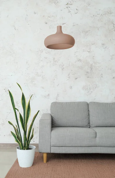 Grey Sofa Houseplant Hanging Brown Lamp Light Wall Living Room — Stock Photo, Image