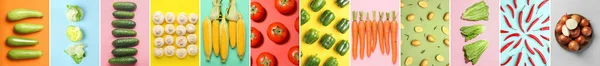 Набор Здоровых Свежих Овощей Грибов Цветном Фоне Вид Сверху — стоковое фото