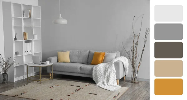ソファ付きの明るいリビングルームのインテリア 異なる色パターン — ストック写真