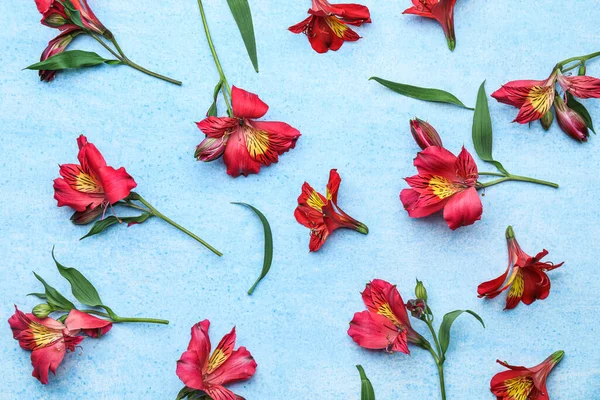 Červená Alstroemeria Květiny Barevném Pozadí — Stock fotografie