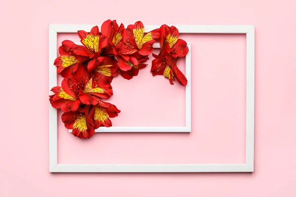 Kompozycja Pustymi Ramkami Alstroemeria Kwiaty Tle Koloru — Zdjęcie stockowe