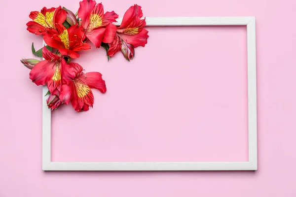 Samenstelling Met Lege Fotolijst Alstroemeria Bloemen Kleur Achtergrond — Stockfoto