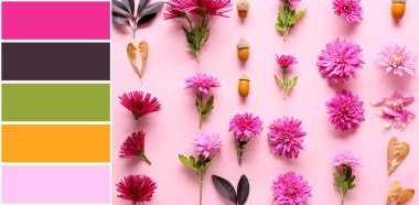 Pembe arka planda çiçekler olan güzel bir kompozisyon. Farklı renk desenleri