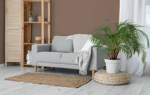 Interior Light Living Room Grey Sofa Shelving Unit Houseplant Brown — Stock Photo, Image