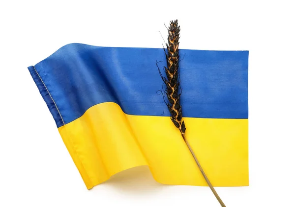 Espiguilla Trigo Quemado Bandera Ucrania Sobre Fondo Blanco — Foto de Stock