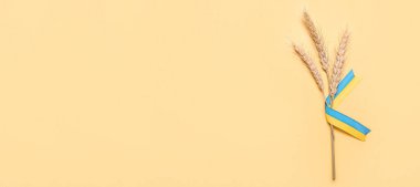 Bej arkaplan üzerinde Ukrayna bayrağı renginde buğday başlıkları ve kurdeleler metin için boşluk